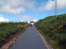 �ō��̕��i���ꏏ�Ɂ�