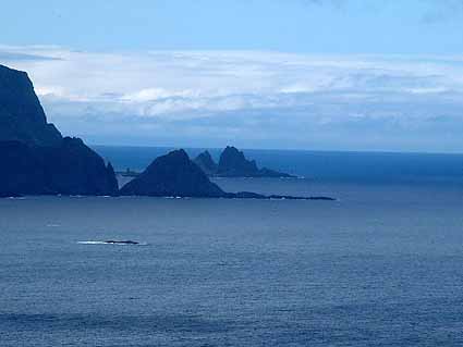 ����₩�ȕ��������������Ȃ�E�E�E�B