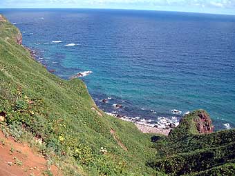 �p�p�Ƃ�������ɂ݂��@���݁�