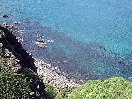 �V���R�^���u���[�̖��͂Ɏ䂫������E�E�E�B