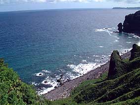 �C�ݐ��𒭂߂�