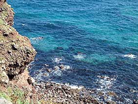 �V���R�^���u���[��