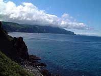 ���ꂩ�炢���Ƃ���