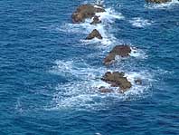 �v�킸�A�S�̖������Ȃ��Ȃ肻������ˁE�E�E