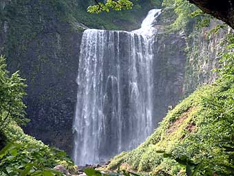 ���ꂼ�I���{��̔��e�I