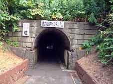 �g���l�������