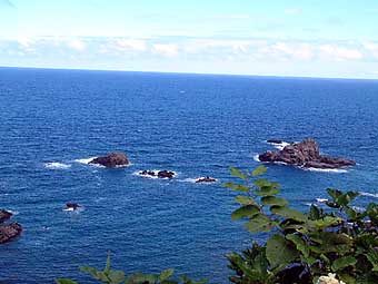 �����̊C���`��