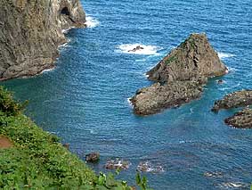 �������Y���C