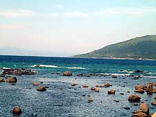 �{�ڂ�����̒��߁E�E�E�B