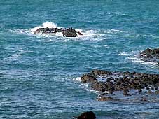 ��ɂԂ���g