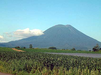 �Ă̗r���R��