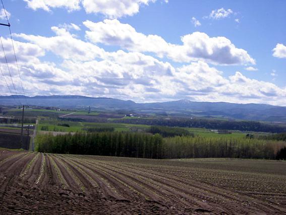 ���̏ꏊ�ŁA�ꎞ�Ԃقǉ_�ƃf�[�g��i�΁j