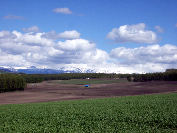 ����A����������������