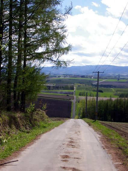 ����Ȕ_���B���x���_��ƎԂ������Ă�������