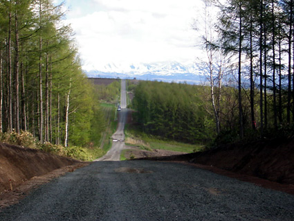 ����ȃ_�[�g�̉��� �f�G�ȋu�������ł���