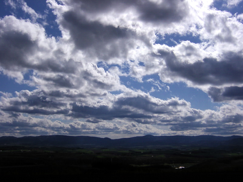 ���V�́u�_��v�Ɏv�킸�z�����܂�Ă��܂������I�����ł����I