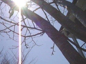 太陽の光が眩しい!