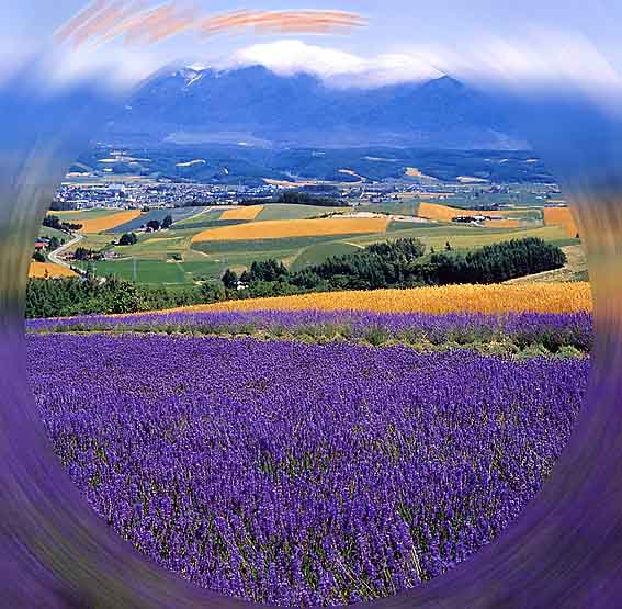 �x�ǖ�`���x���_�[�`