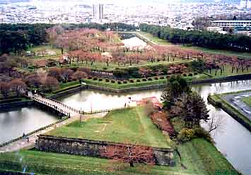 �ق�̂�s���N�F�ɐ��܂��Ă��Ă��܂�