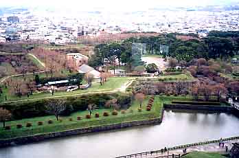 ���̕��ɔ��ق̎s�X�������܂���