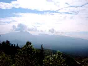 �O�������