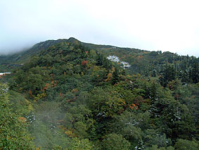 ������͂܂��܂��Ƃ����������ł���