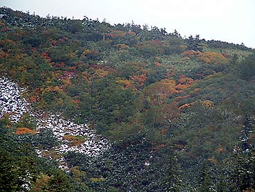 �v��������Y�킾������