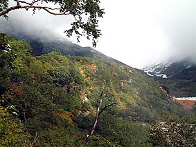 �\���x����̖�i