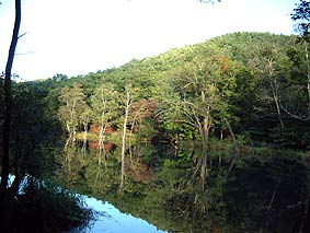 �Ζʂ����˂��ċ��݂�����