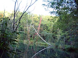 �t�u���v�̎����[�I