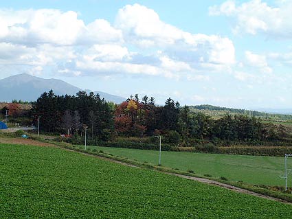 �Ԃ����܂����؂��Y�킾�������